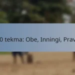 T20 tekma: Obe, Inningi, Pravila