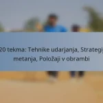 T20 tekma: Tehnike udarjanja, Strategije metanja, Položaji v obrambi