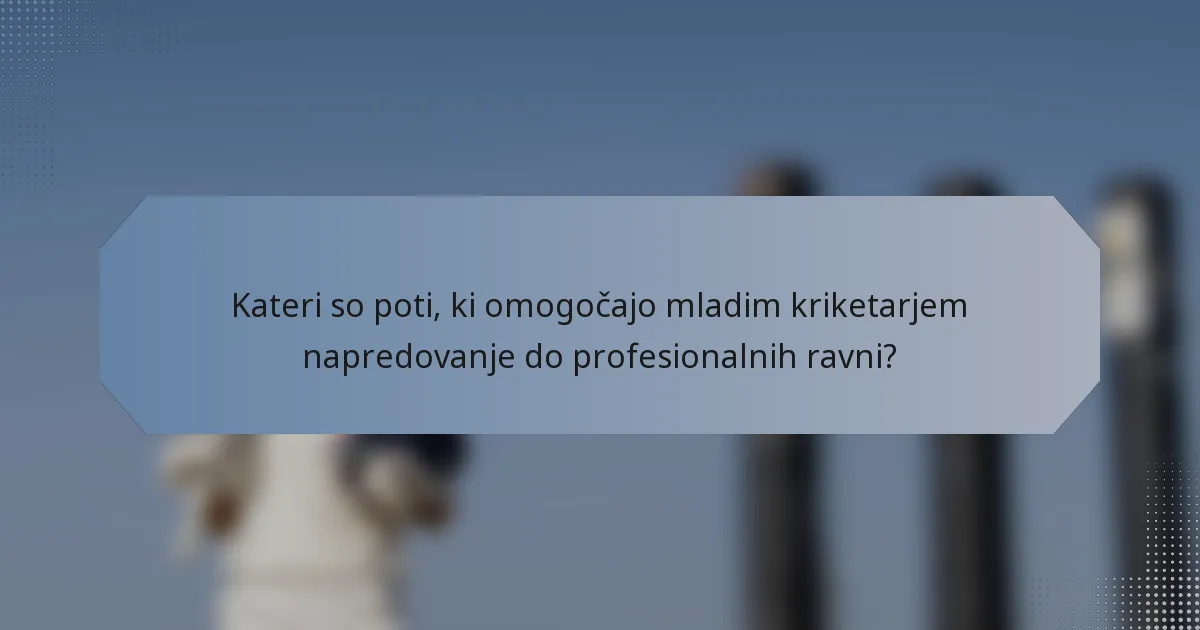 Kateri so poti, ki omogočajo mladim kriketarjem napredovanje do profesionalnih ravni?
