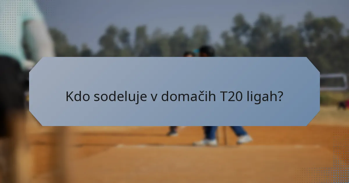 Kdo sodeluje v domačih T20 ligah?